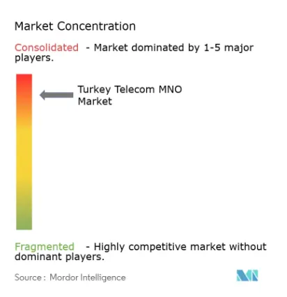Telecom concentration